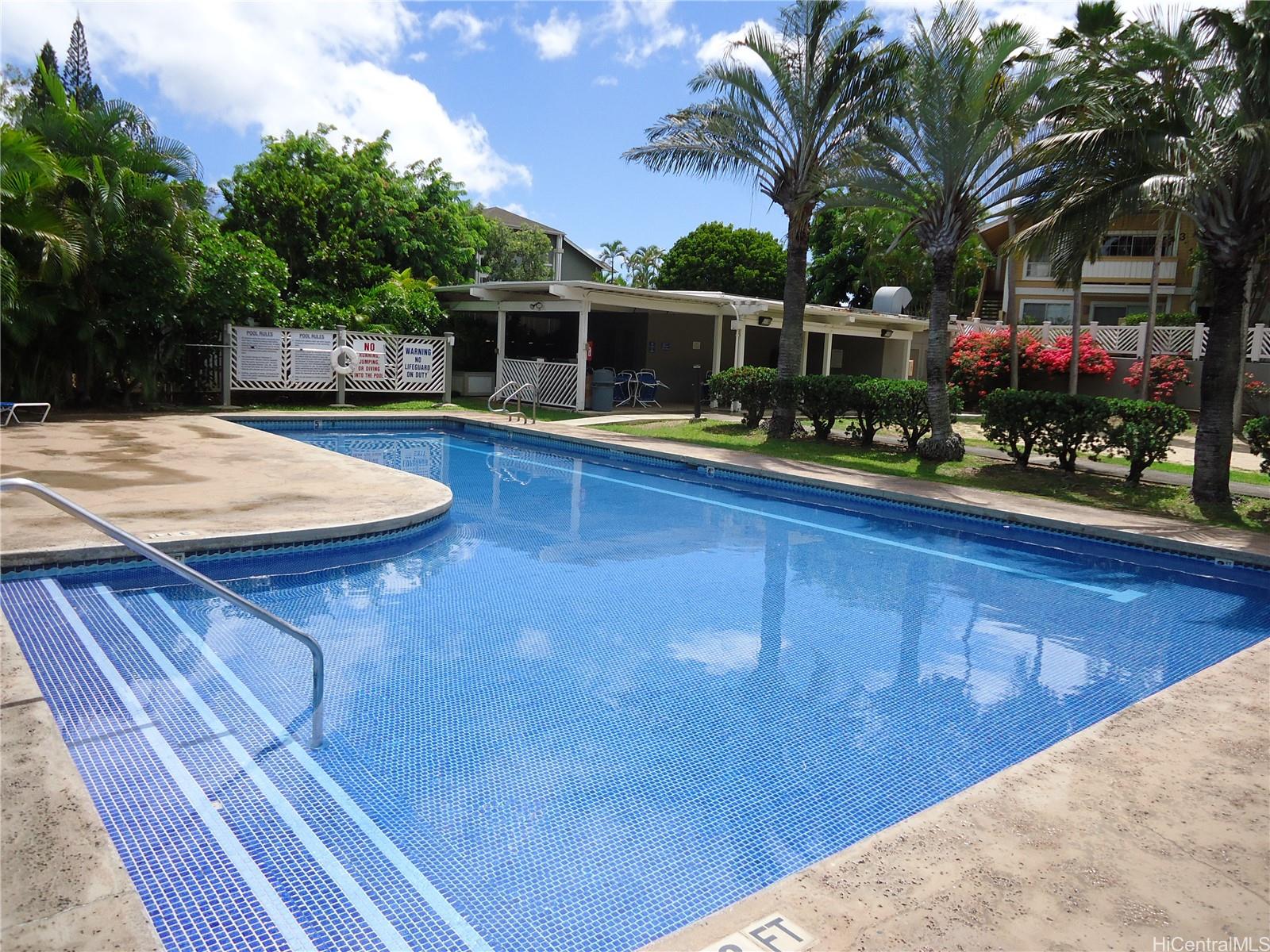 429 Mananai Pl Honolulu - Rental - photo 4 of 21