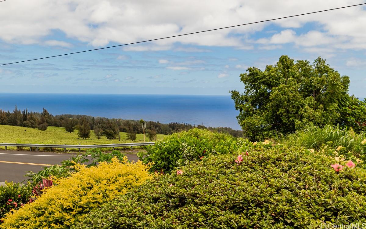 43-326  Pohakea Rd Paauilo, Hamakua home - photo 6 of 20