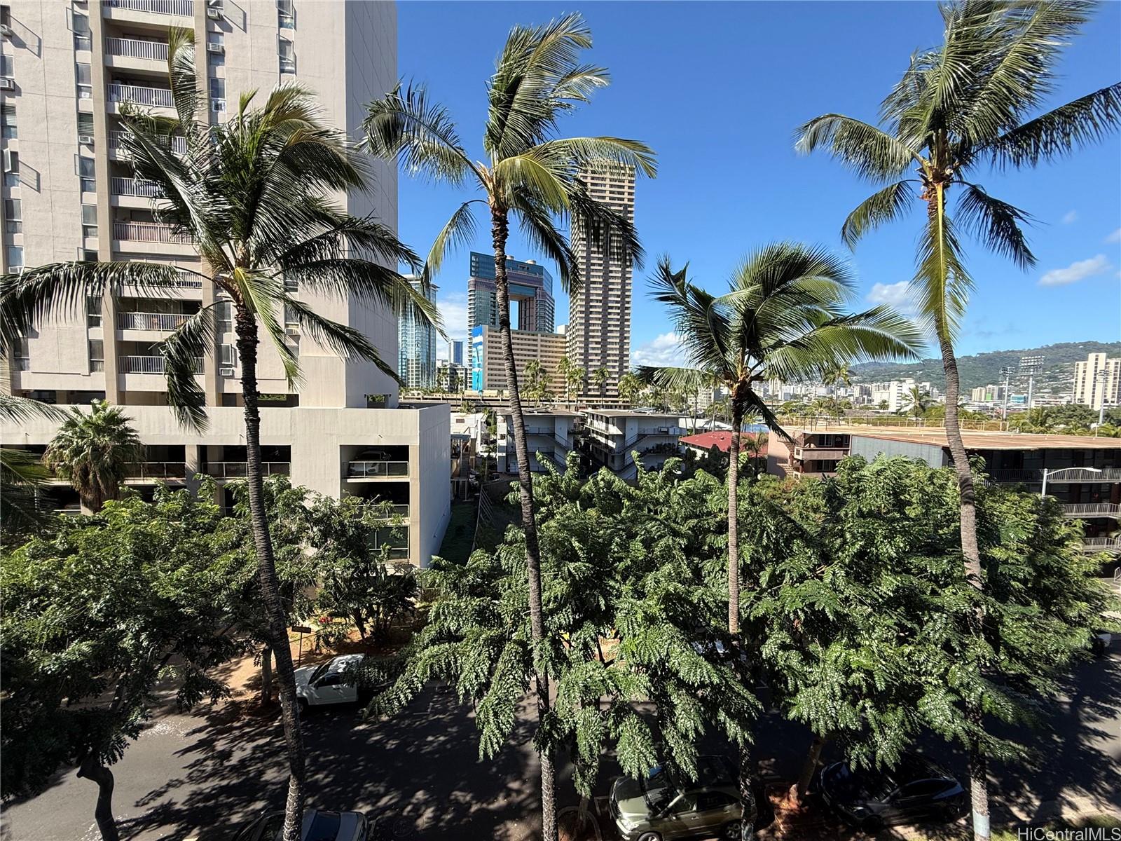 439 Keoniana Street Honolulu - Rental - photo 17 of 19