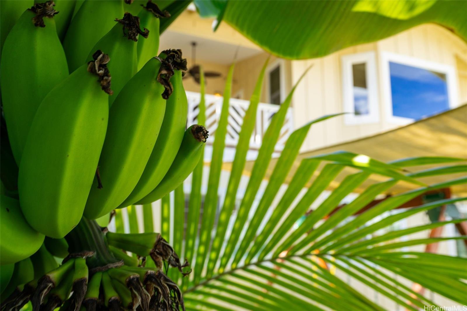 44-129  Kalenakai Place Bay View Garden, Kaneohe home - photo 19 of 25