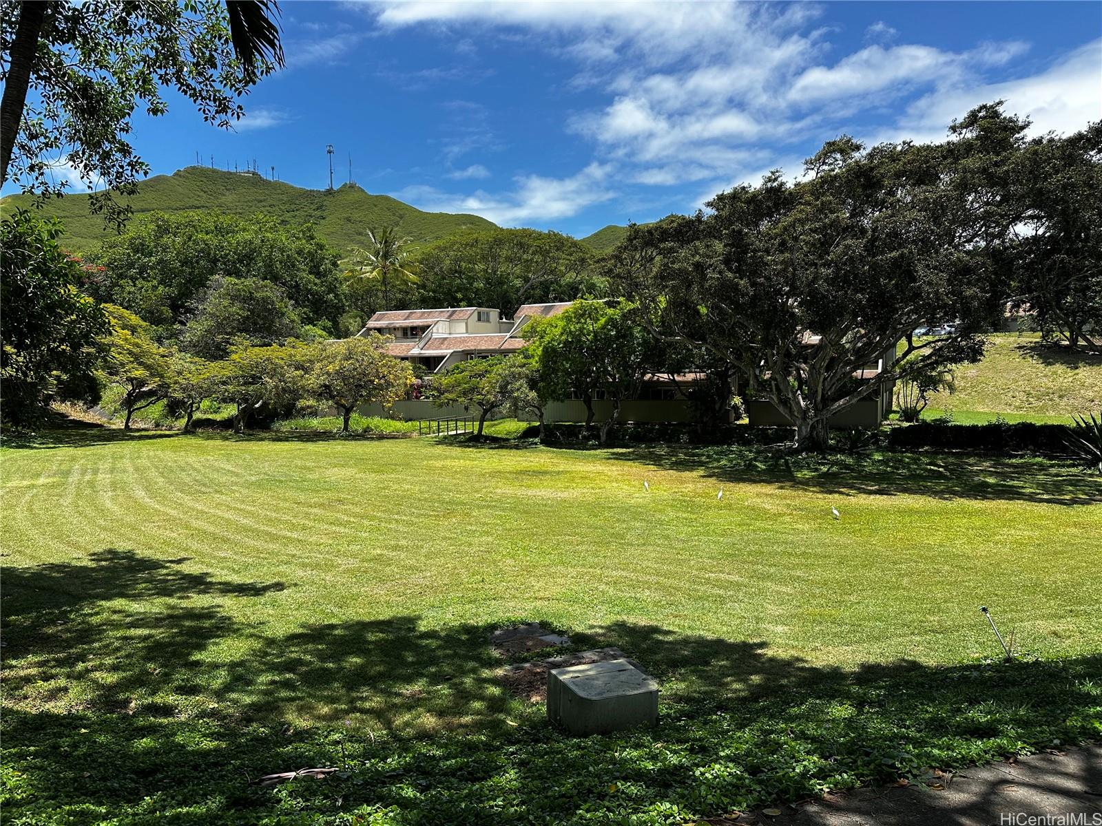 44-350 Olina Street townhouse # 34, Kaneohe, Hawaii - photo 22 of 24