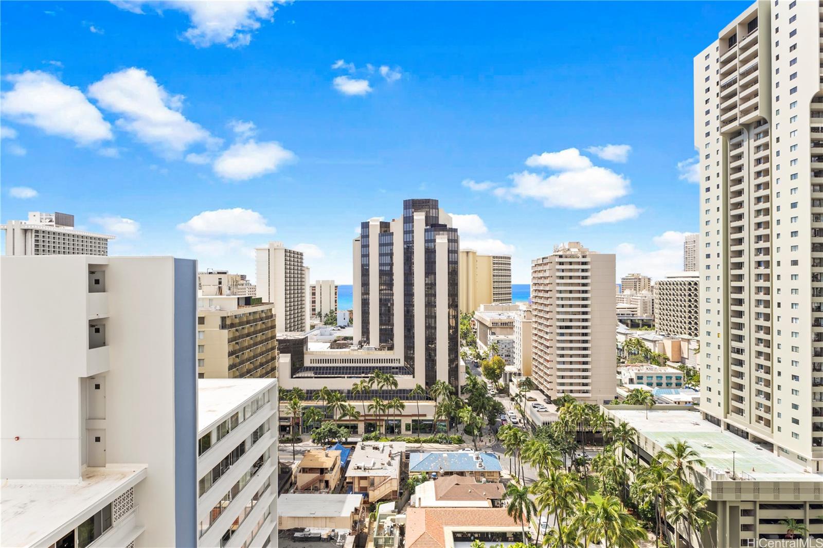 445 Seaside Ave Honolulu - Rental - photo 20 of 24