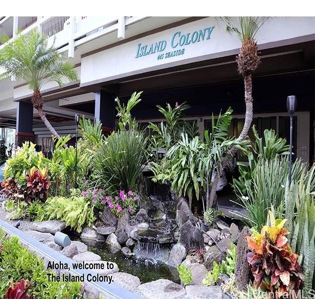 445 Seaside Ave Honolulu - Rental - photo 11 of 25