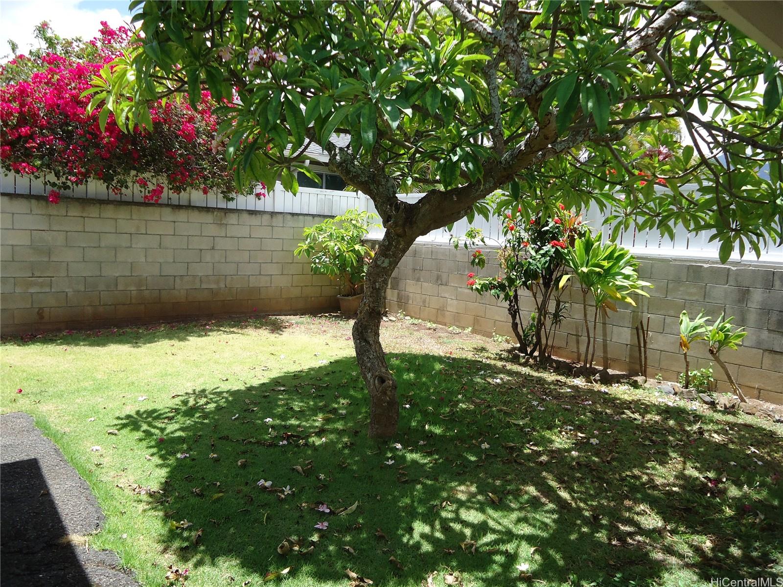 445 Ulupaina Street Kailua - Rental - photo 4 of 12