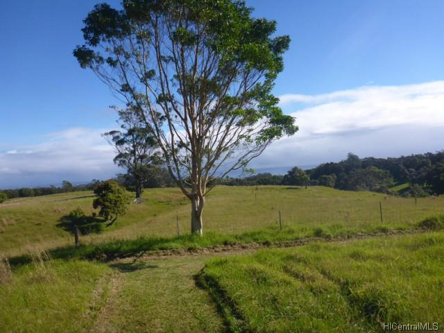 44-5358 Waikaalulu Rd Lot 85C Honokaa, Hi vacant land for sale - photo 2 of 25