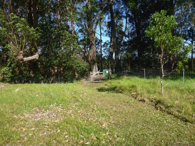 44-5358 Waikaalulu Rd Lot 85C Honokaa, Hi vacant land for sale - photo 16 of 25