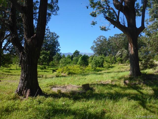 44-5358 Waikaalulu Rd Lot 85C Honokaa, Hi vacant land for sale - photo 17 of 25