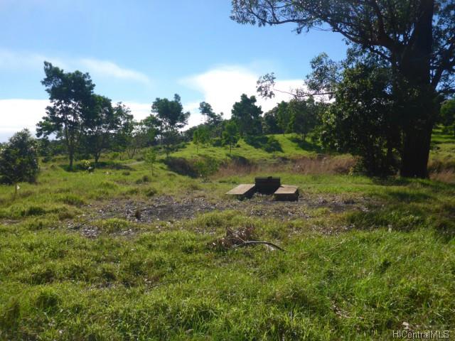 44-5358 Waikaalulu Rd Lot 85C Honokaa, Hi vacant land for sale - photo 18 of 25
