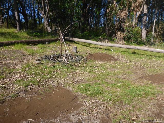 44-5358 Waikaalulu Rd Lot 85C Honokaa, Hi vacant land for sale - photo 19 of 25