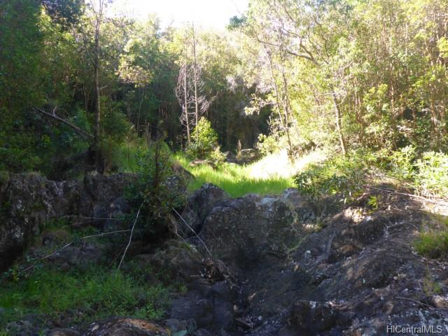 44-5358 Waikaalulu Rd Lot 85C Honokaa, Hi vacant land for sale - photo 21 of 25