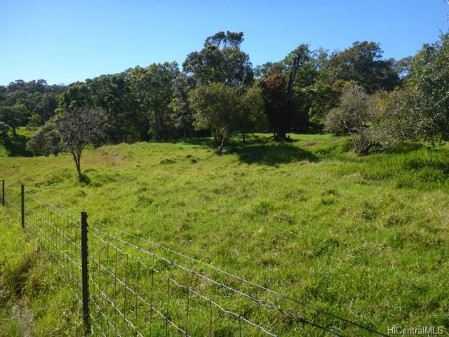44-5358 Waikaalulu Rd Lot 85C Honokaa, Hi vacant land for sale - photo 23 of 25
