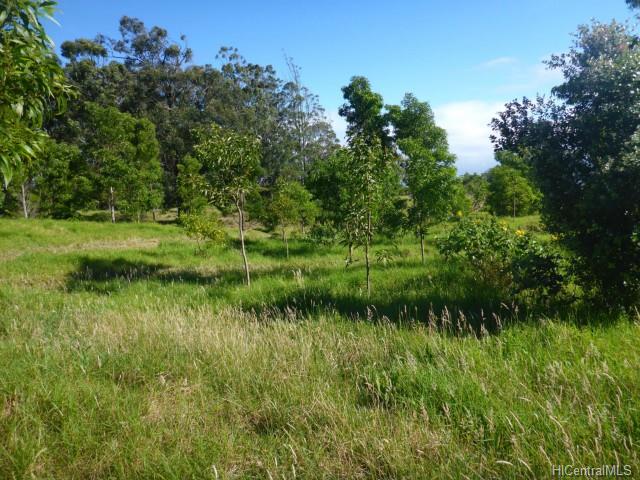 44-5358 Waikaalulu Rd Lot 85C Honokaa, Hi vacant land for sale - photo 8 of 25