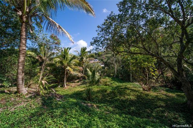 44-684 Iris Place  Kaneohe, Hi vacant land for sale - photo 6 of 20
