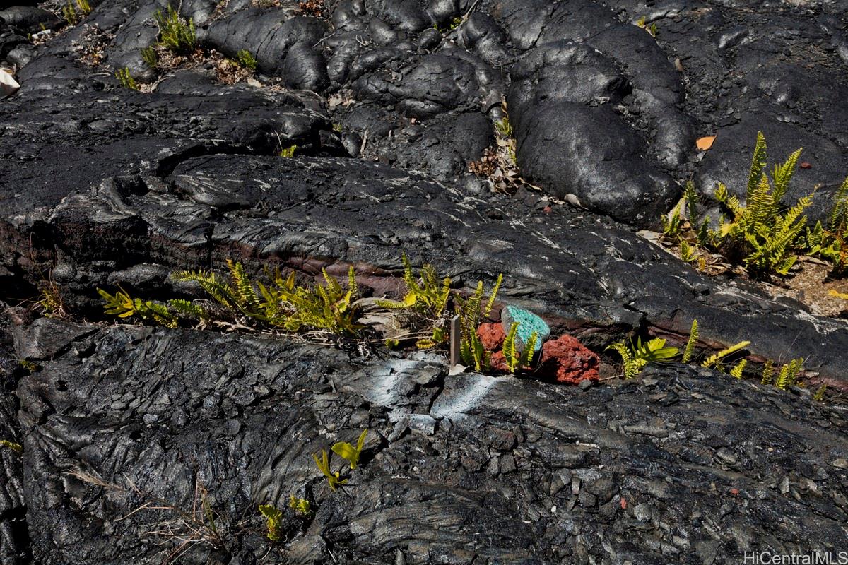 447 N/A Street  Pahoa, Hi vacant land for sale - photo 21 of 21