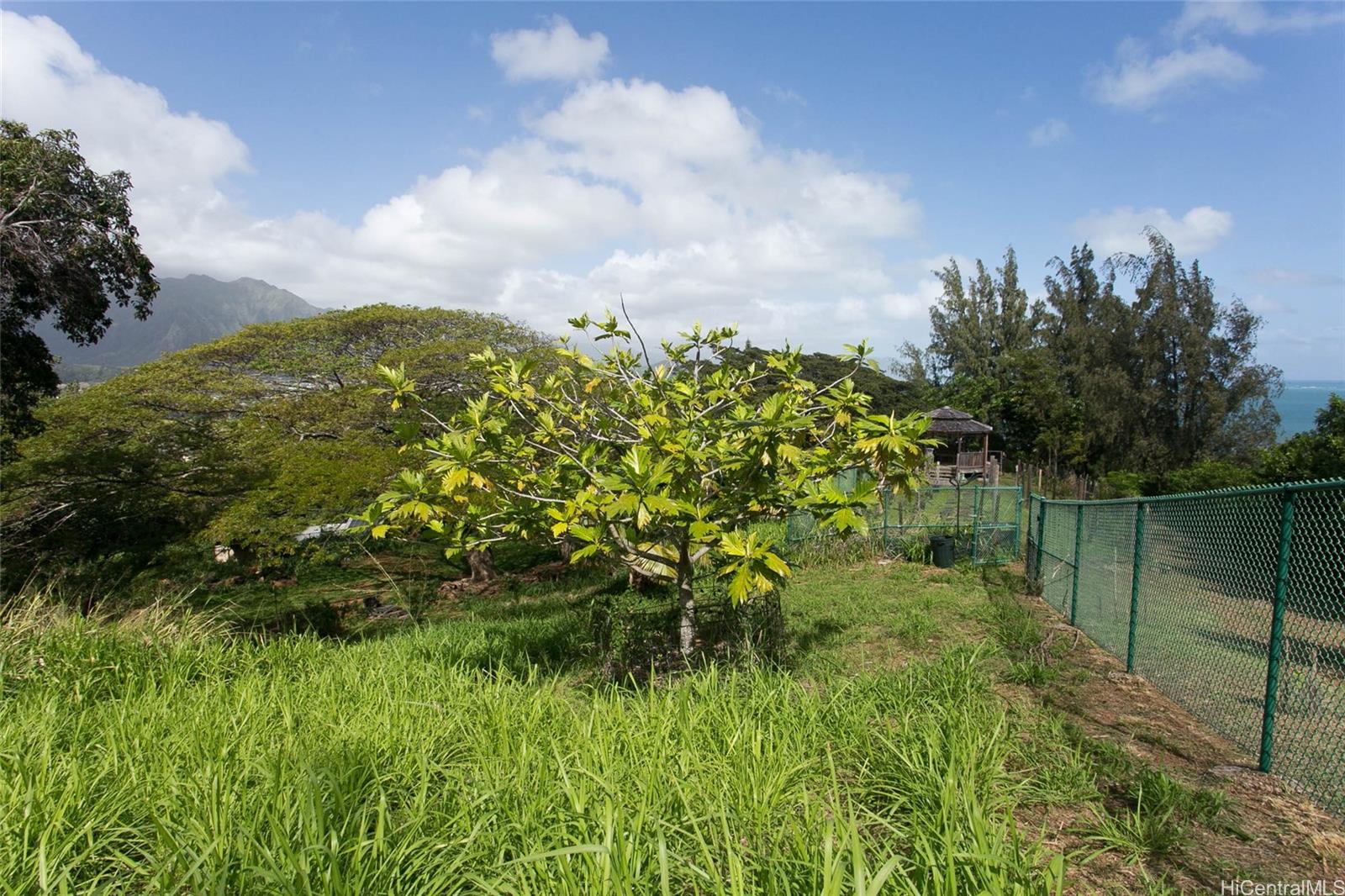 45-234  Kokokahi Place Kokokahi, Kaneohe home - photo 12 of 21