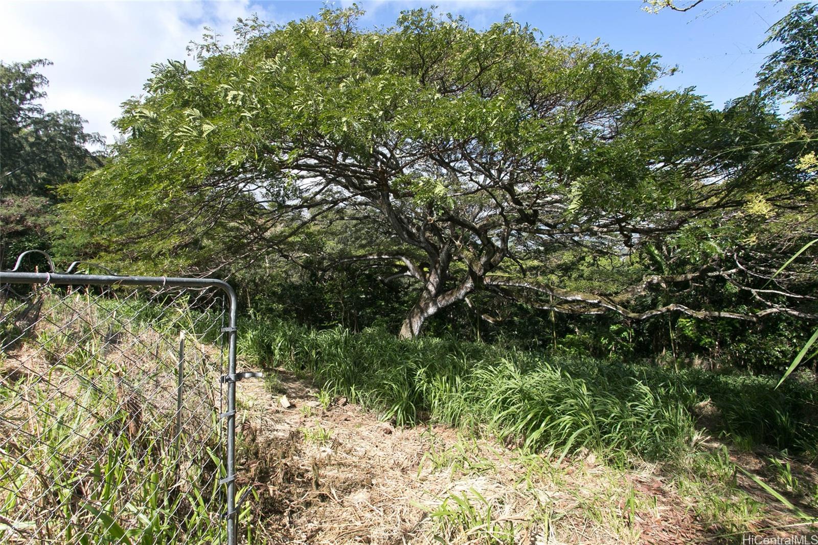 45-234  Kokokahi Place Kokokahi, Kaneohe home - photo 18 of 21