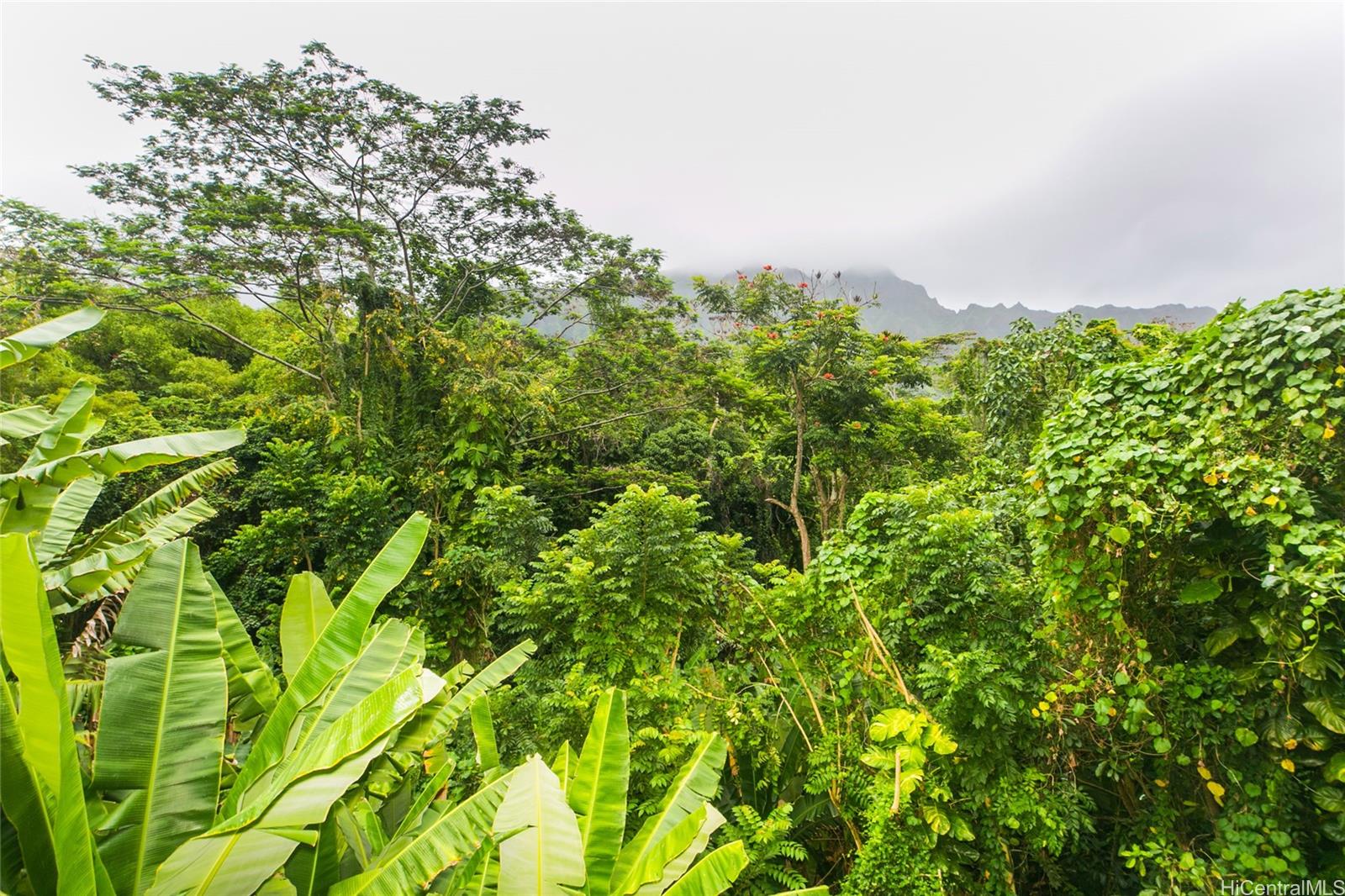 45-308 Kahiko St Kaneohe - Rental - photo 22 of 25