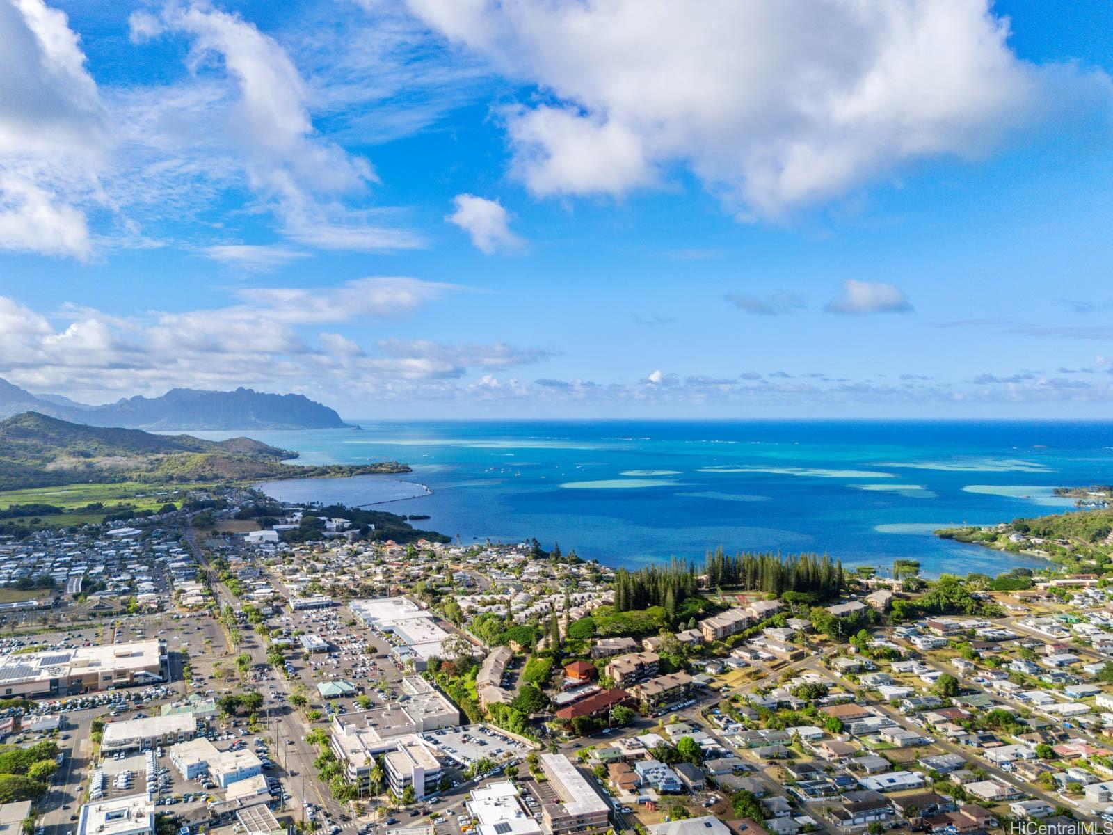 Cliff View Terrace condo # 204, Kaneohe, Hawaii - photo 9 of 25