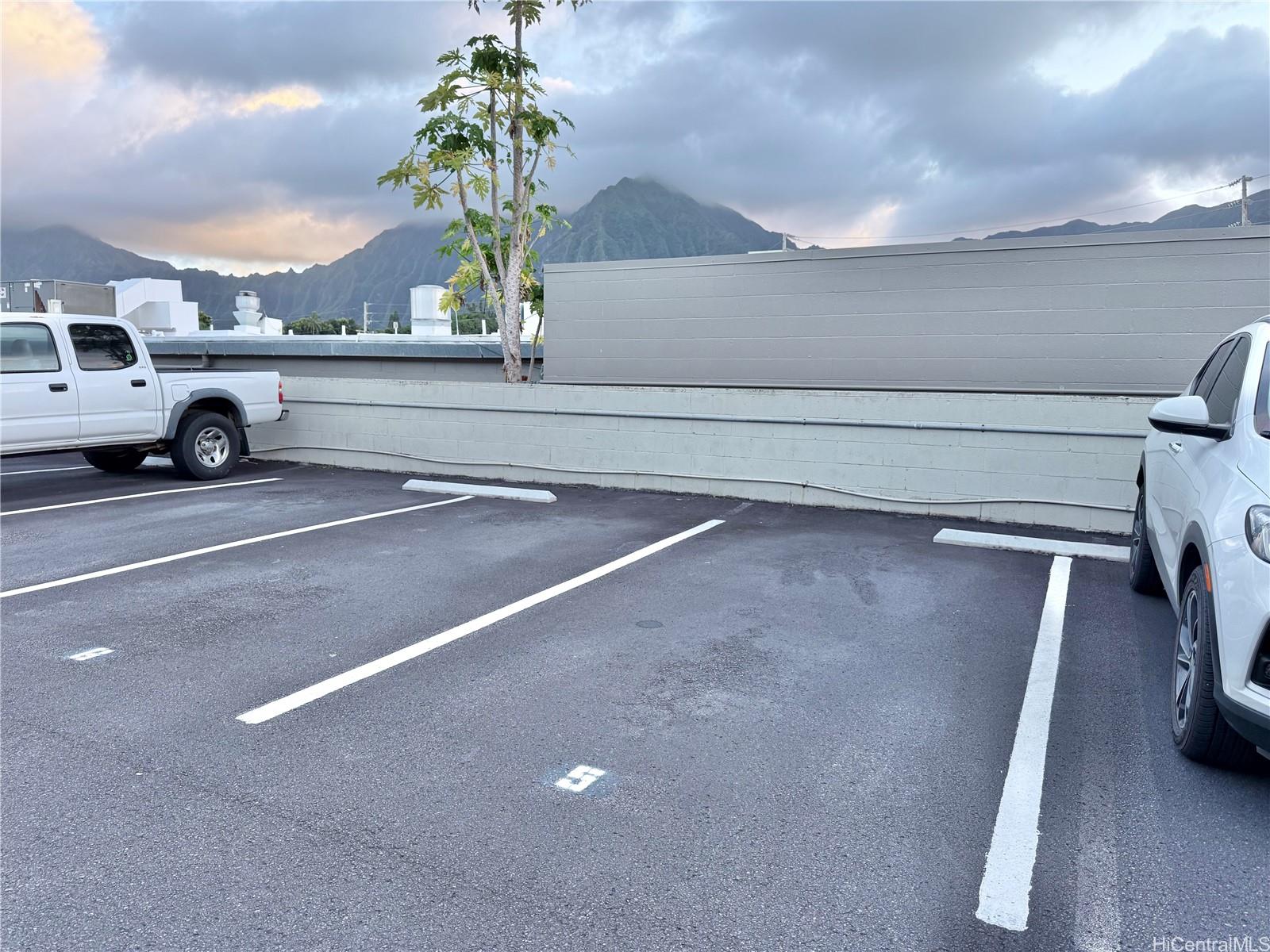 Cliff View Terrace condo # 210, Kaneohe, Hawaii - photo 20 of 22