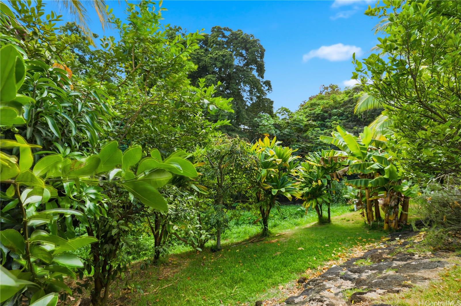 45-542  Waikalua Place Halepuu, Kaneohe home - photo 24 of 25