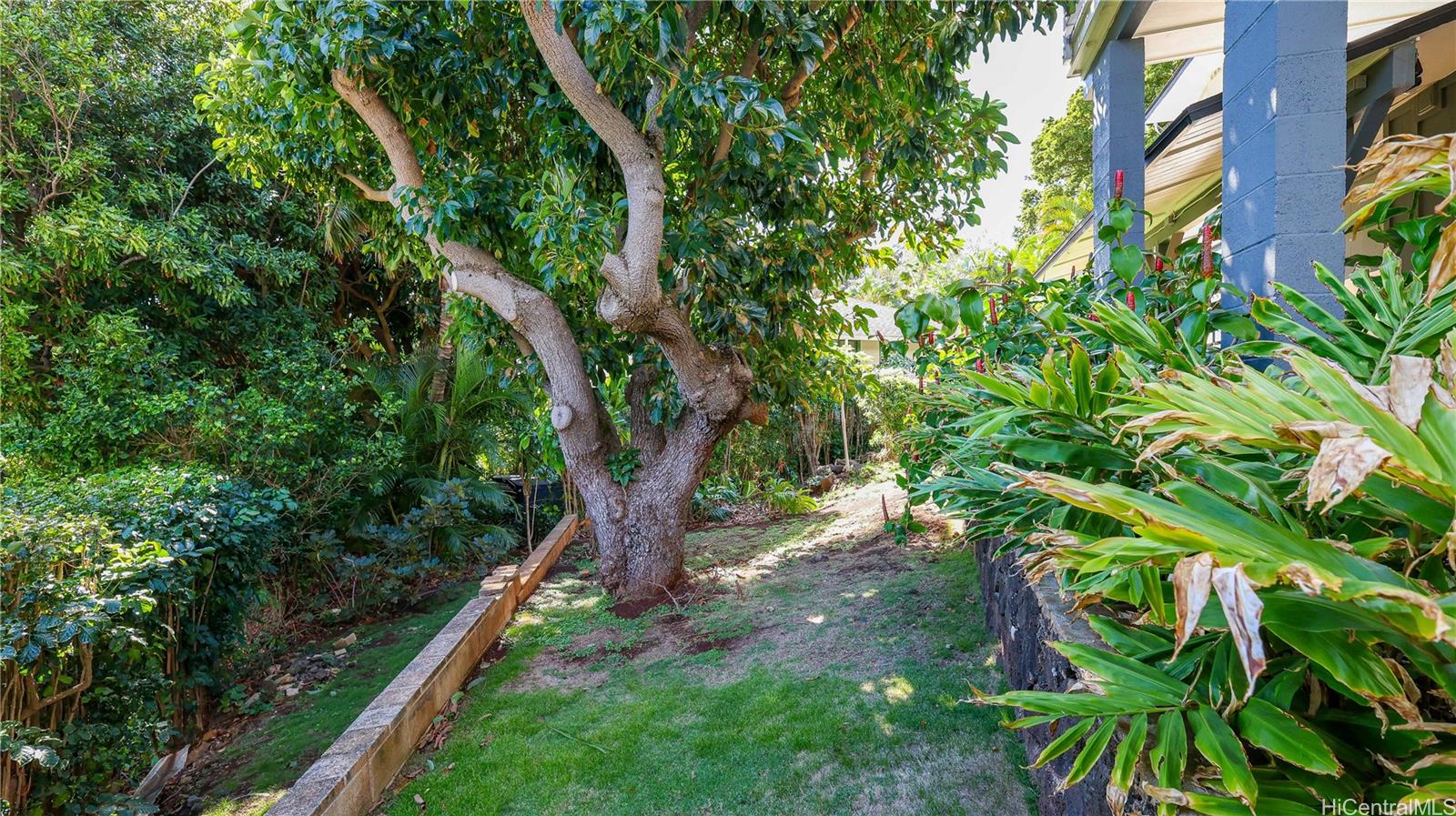 4566 Sierra Drive Honolulu - Rental - photo 16 of 23