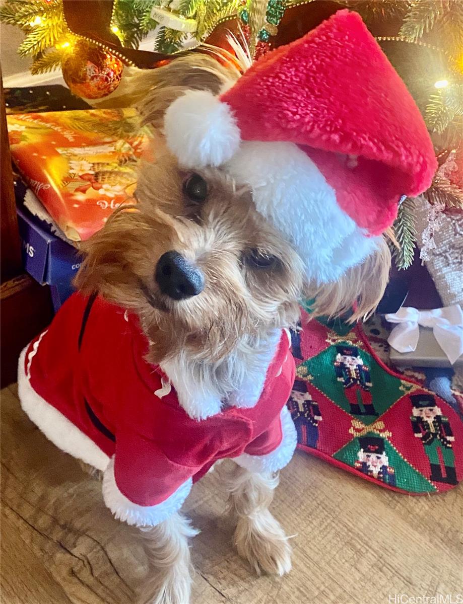 Puu Alii townhouse # 3832, Honolulu, Hawaii - photo 16 of 17