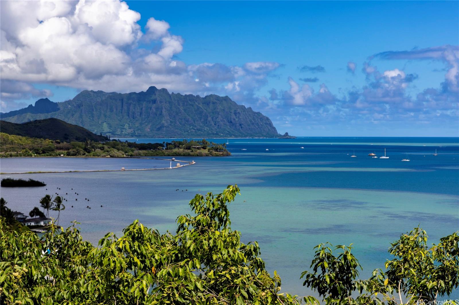 46-082 Puulena St Kaneohe - Rental - photo 8 of 20