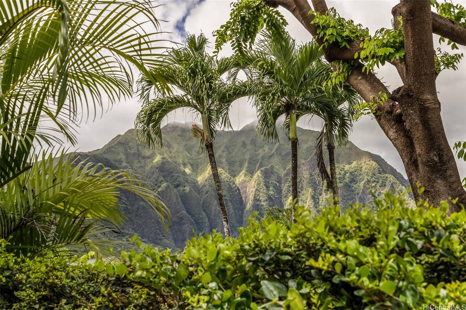 Haiku Point 2 condo # 24D, Kaneohe, Hawaii - photo 18 of 25
