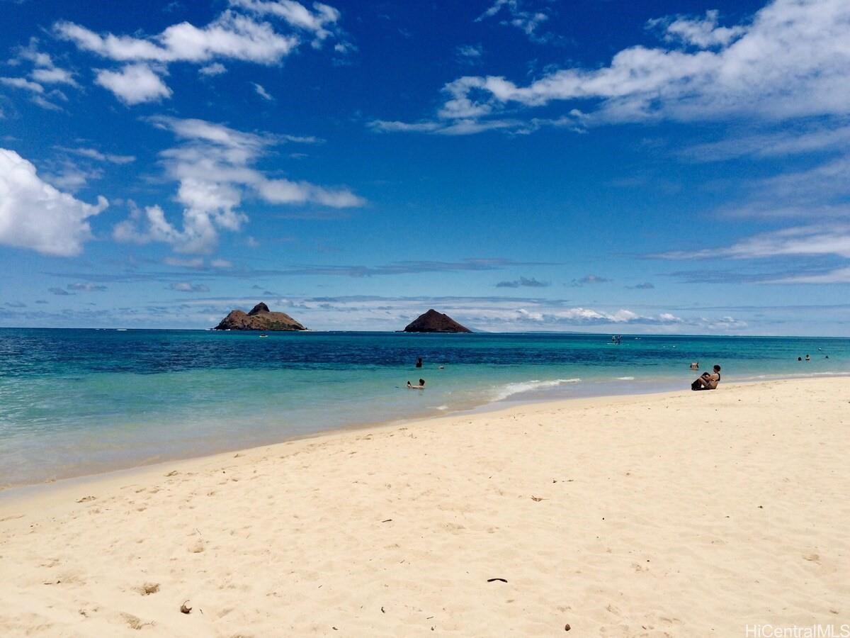 462 Ilimano St Kailua - Rental - photo 24 of 25