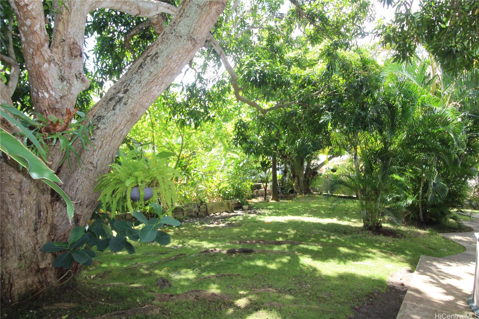 462 Ilimano Street Kailua - Rental - photo 19 of 25