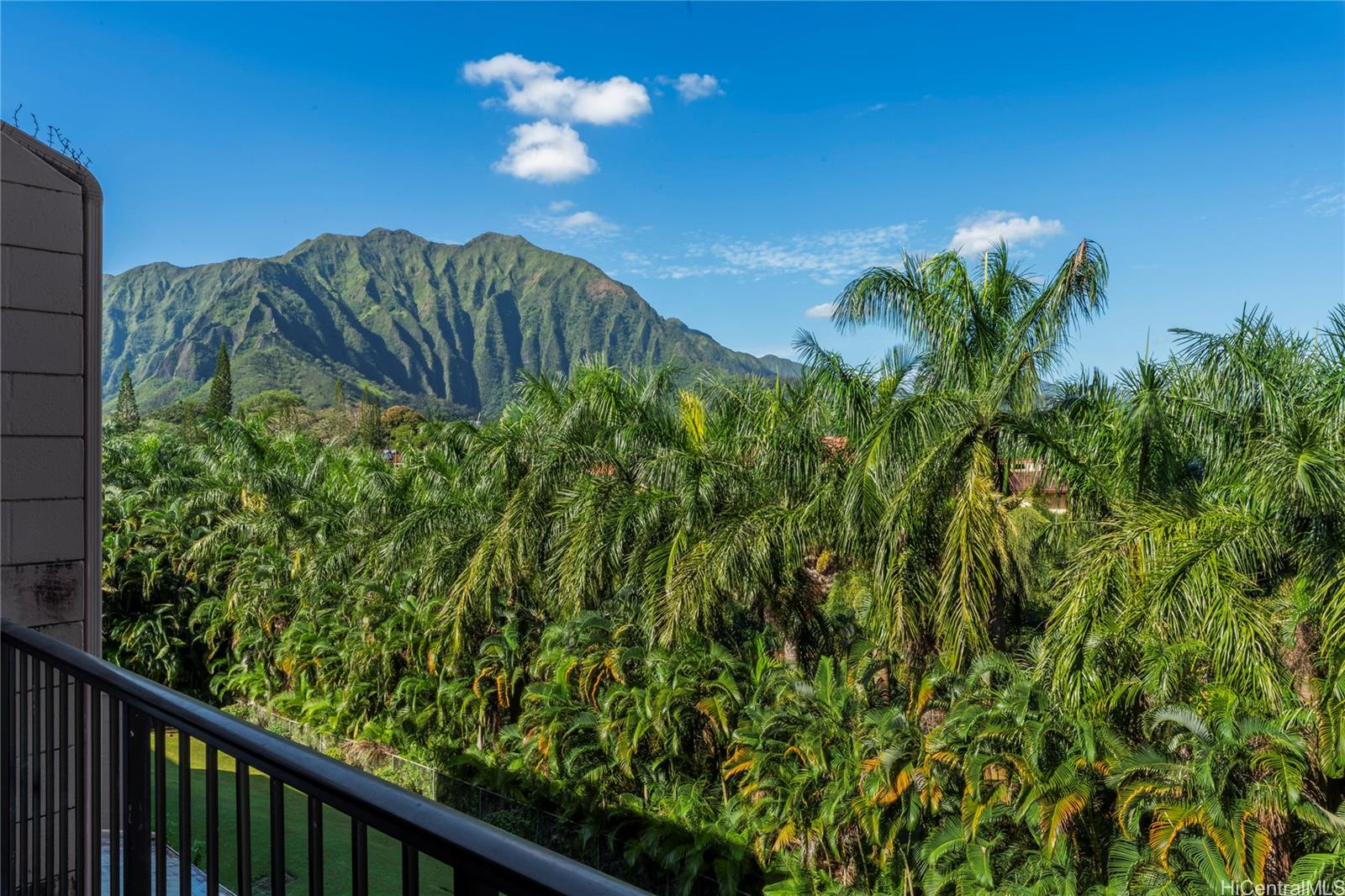 Hale Anaole Apts condo # 316B, Kaneohe, Hawaii - photo 17 of 23