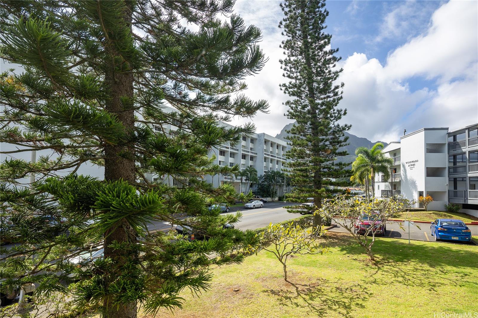 Windward Acres condo # A101, Kaneohe, Hawaii - photo 6 of 21