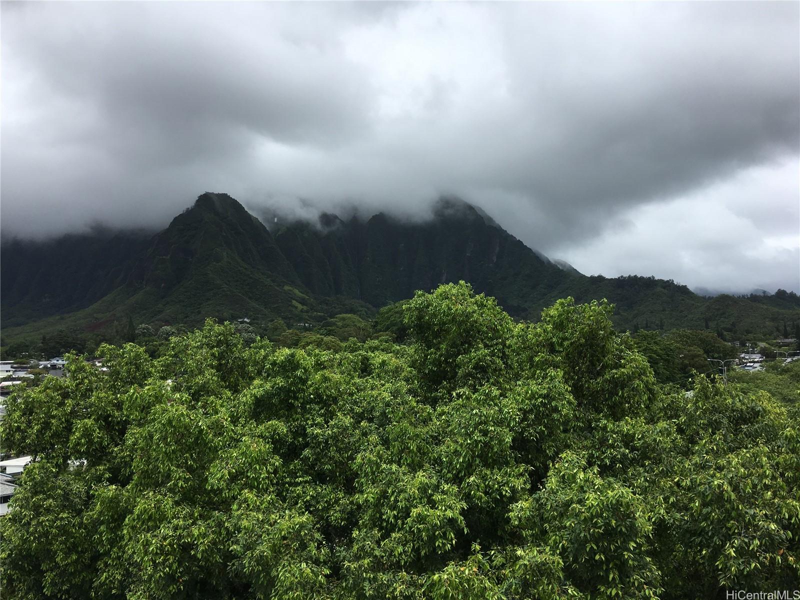 46-283 Kahuhipa St Kaneohe - Rental - photo 17 of 24