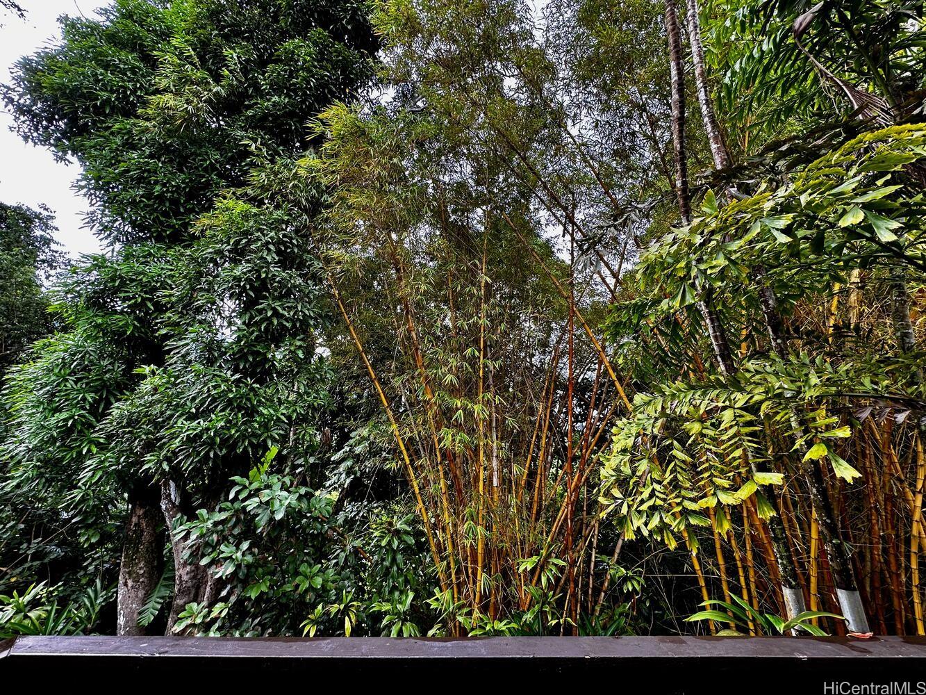 Eden At Haiku Woods B condo # B3, Kaneohe, Hawaii - photo 17 of 25