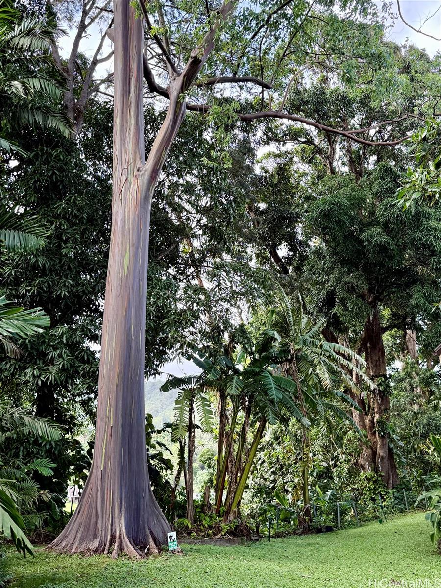 Eden At Haiku Woods A condo # D3, Kaneohe, Hawaii - photo 24 of 25