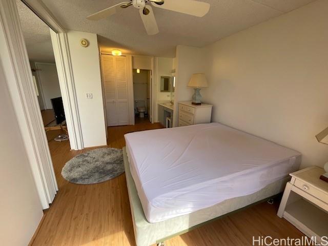 469 Ena Road Honolulu - Rental - photo 9 of 15