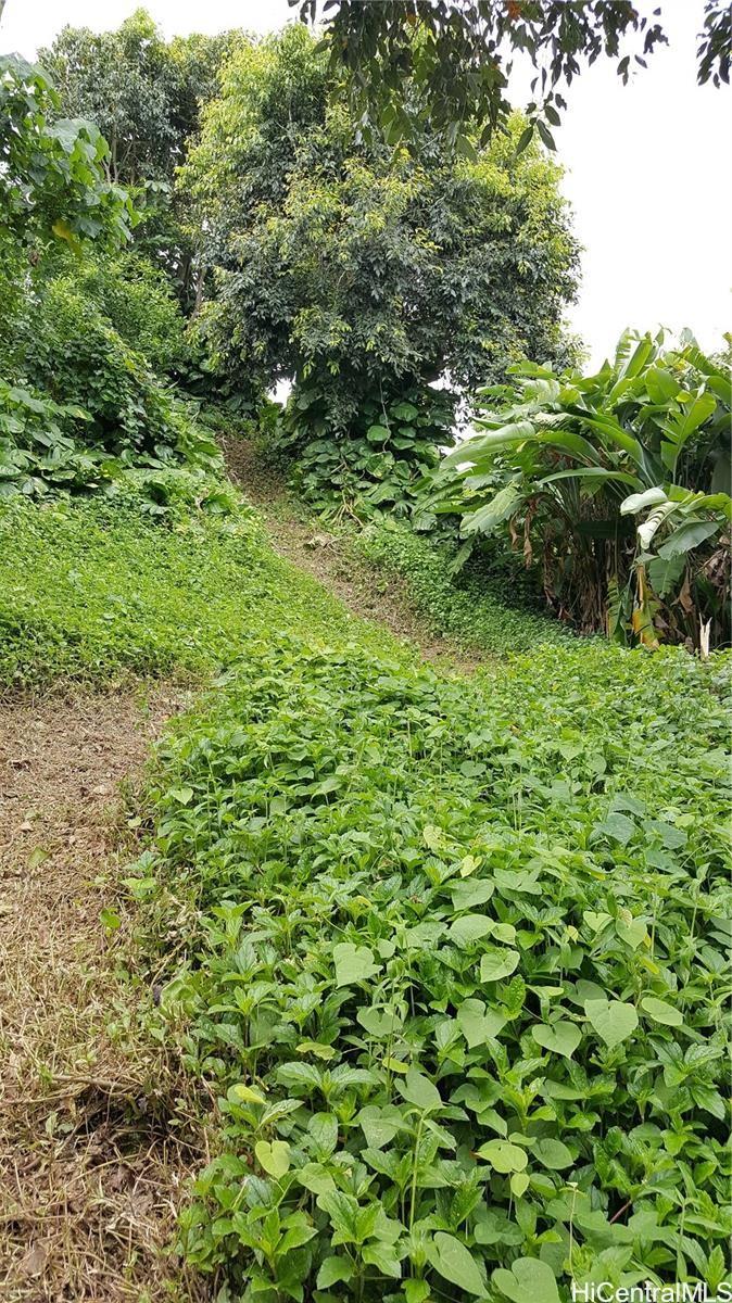 47-000 Lulani St  Kaneohe, Hi vacant land for sale - photo 11 of 13