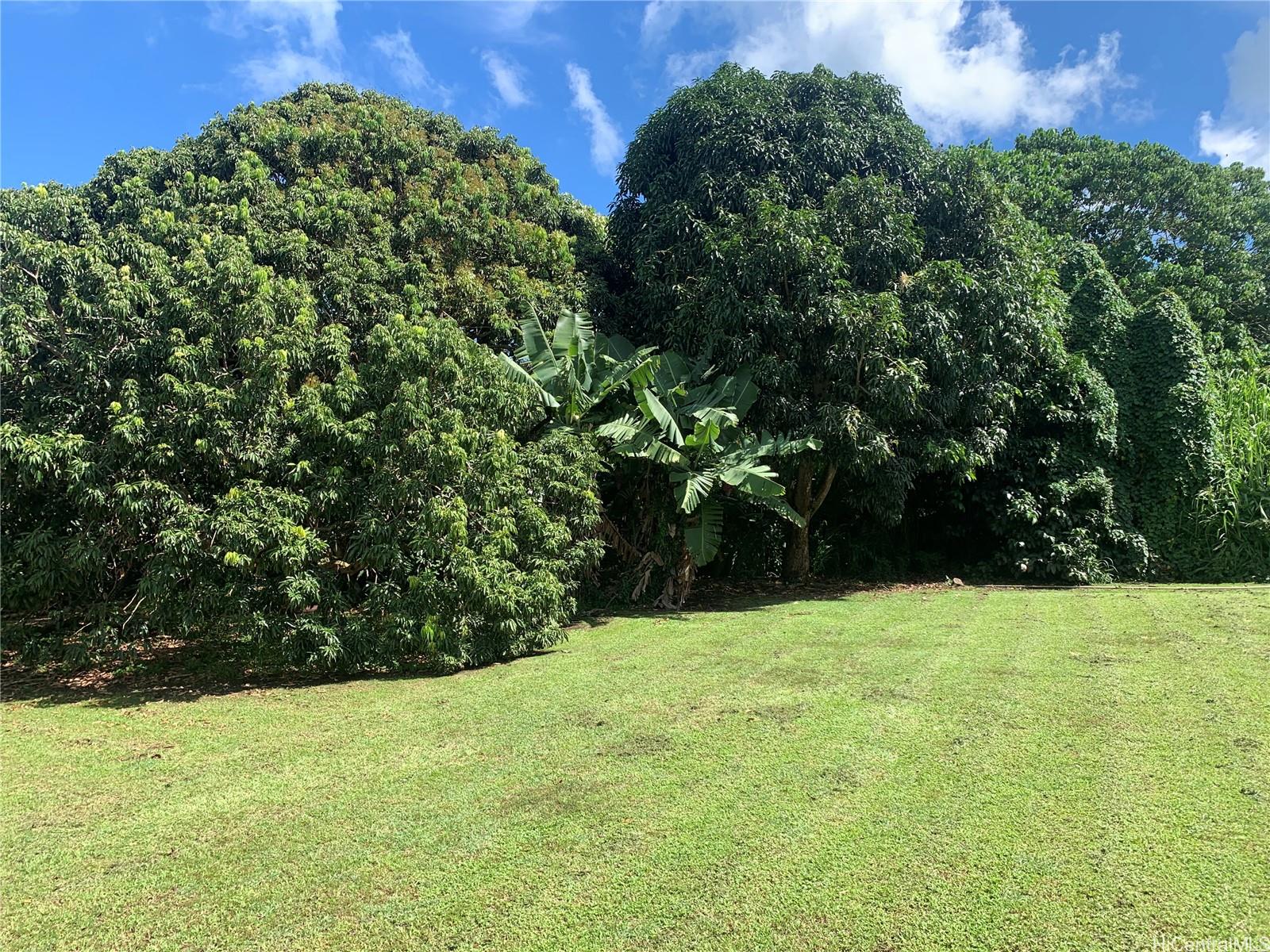 47-050  Okana Road Temple Valley, Kaneohe home - photo 11 of 25