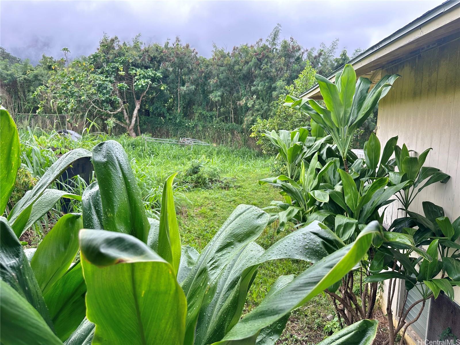 47-050  Okana Road Temple Valley, Kaneohe home - photo 22 of 25