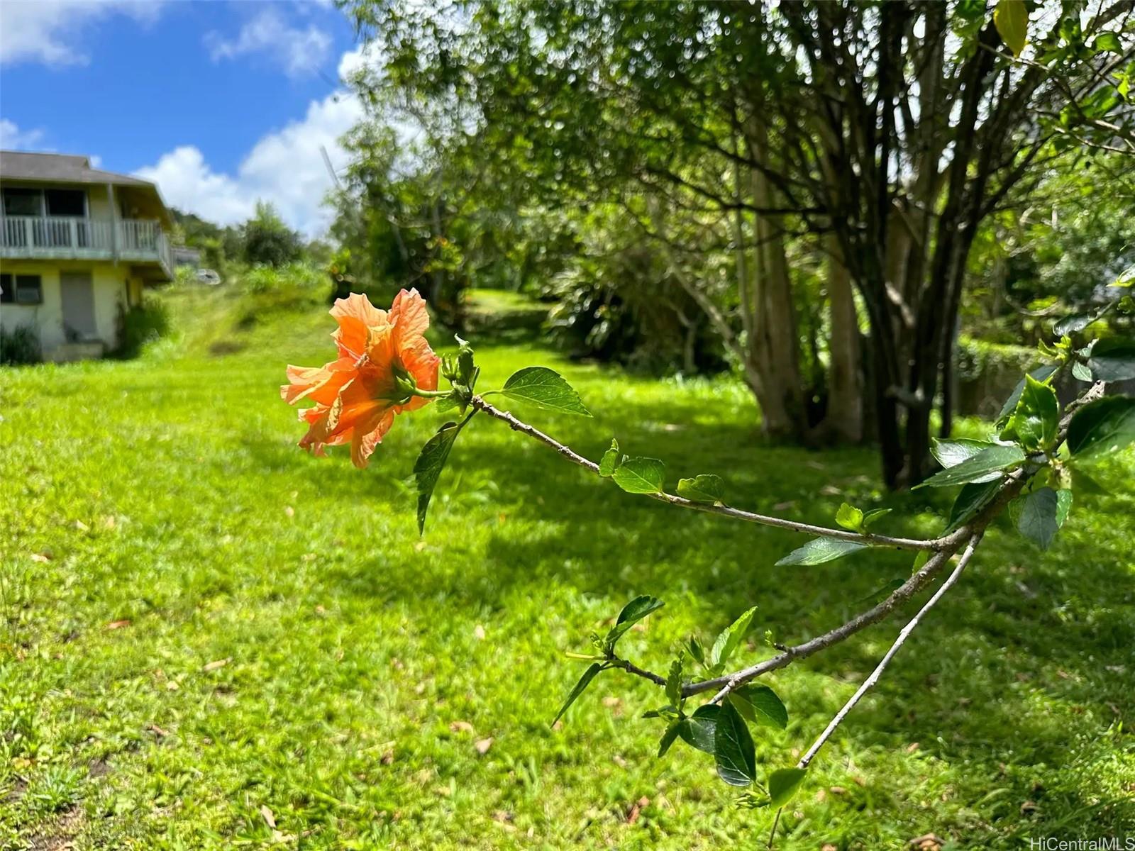 47-050  Okana Road Temple Valley, Kaneohe home - photo 5 of 25