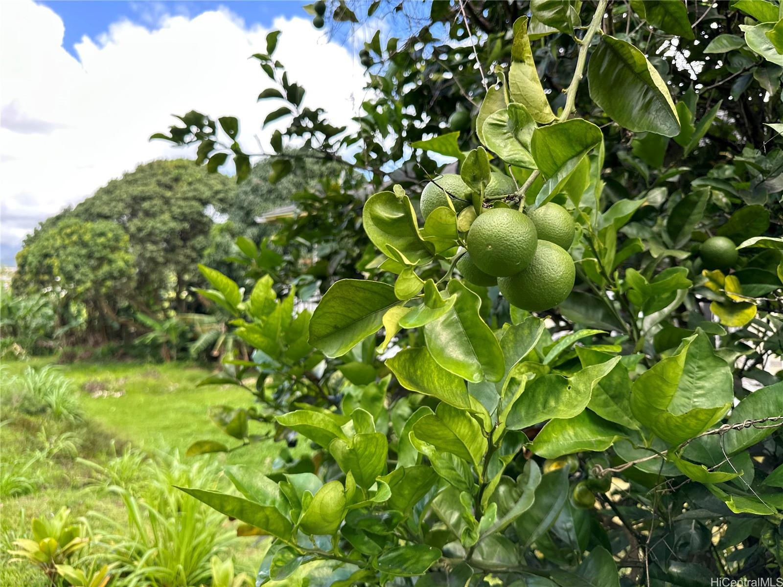 47-050  Okana Road Temple Valley, Kaneohe home - photo 6 of 25