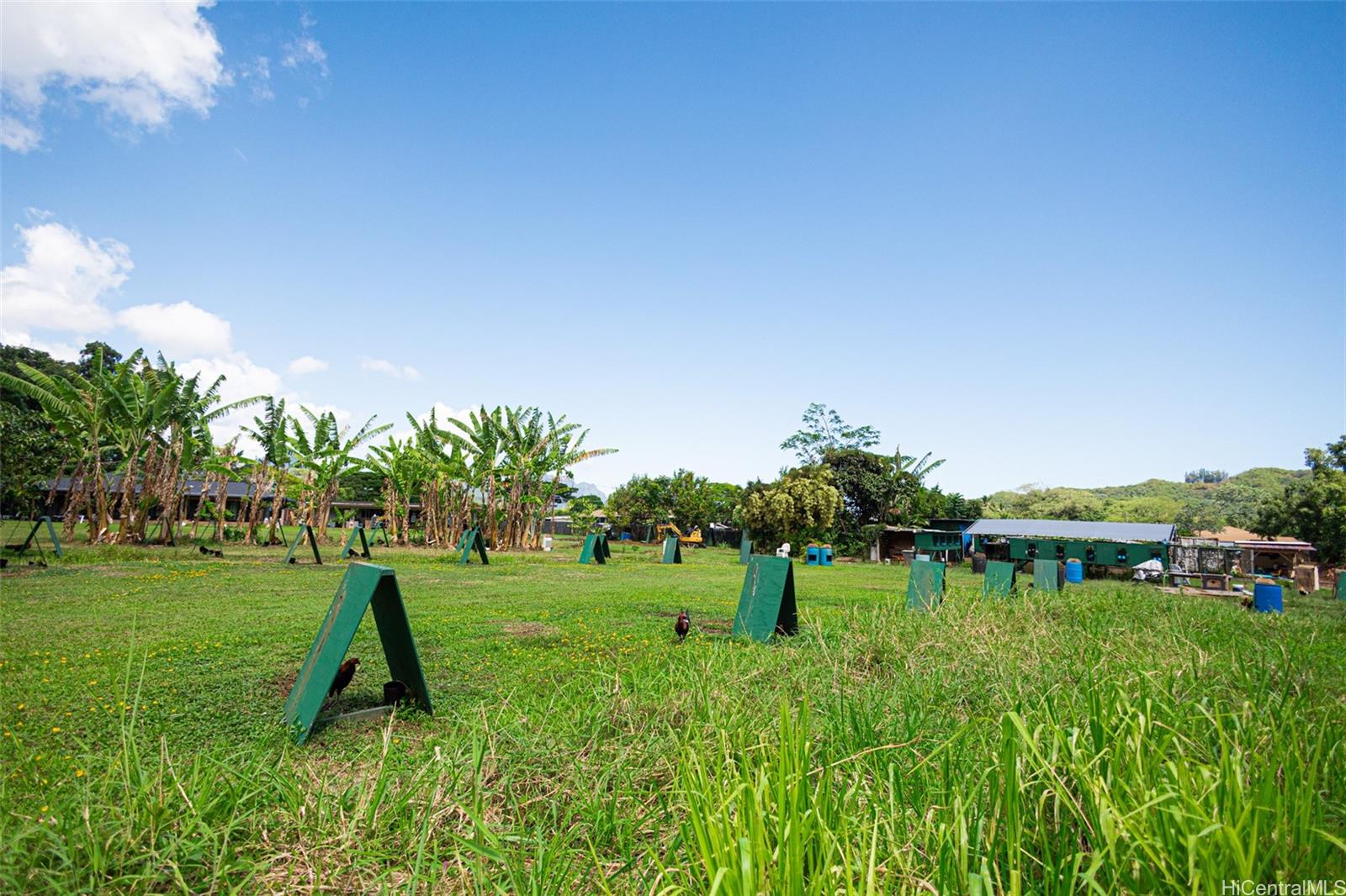 47-254 Ahaolelo Road  Kaneohe, Hi vacant land for sale - photo 6 of 14
