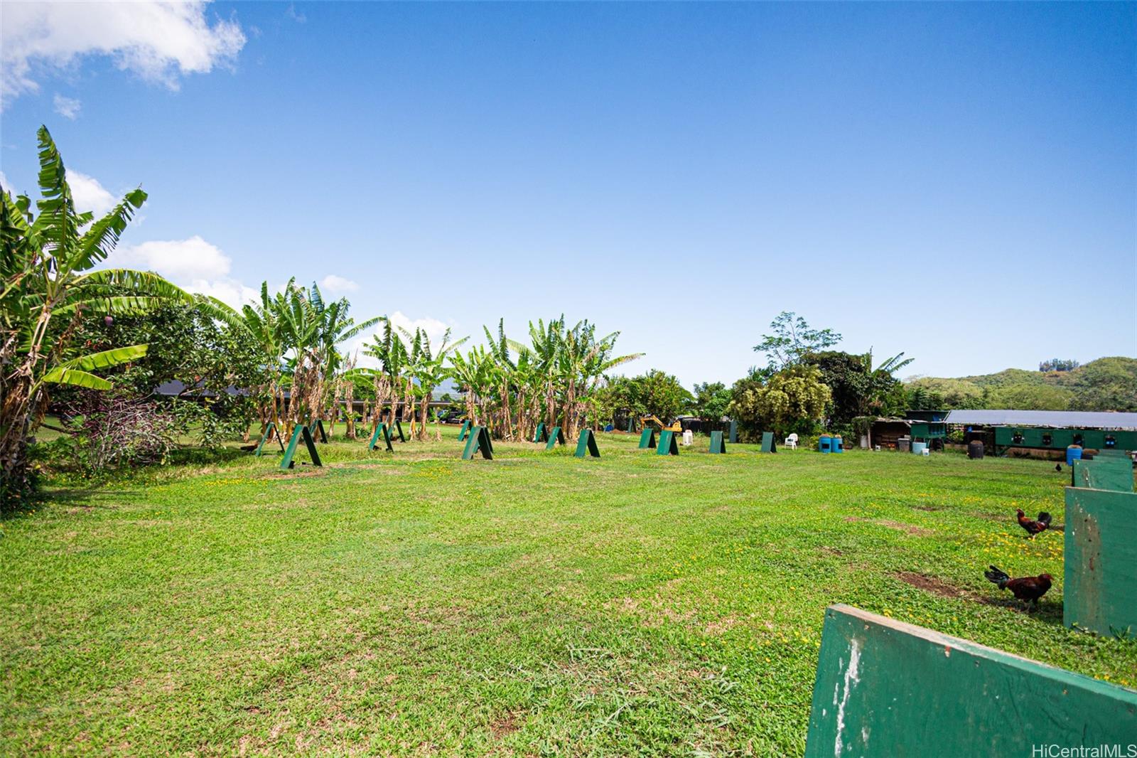 47-254 Ahaolelo Road  Kaneohe, Hi vacant land for sale - photo 7 of 14
