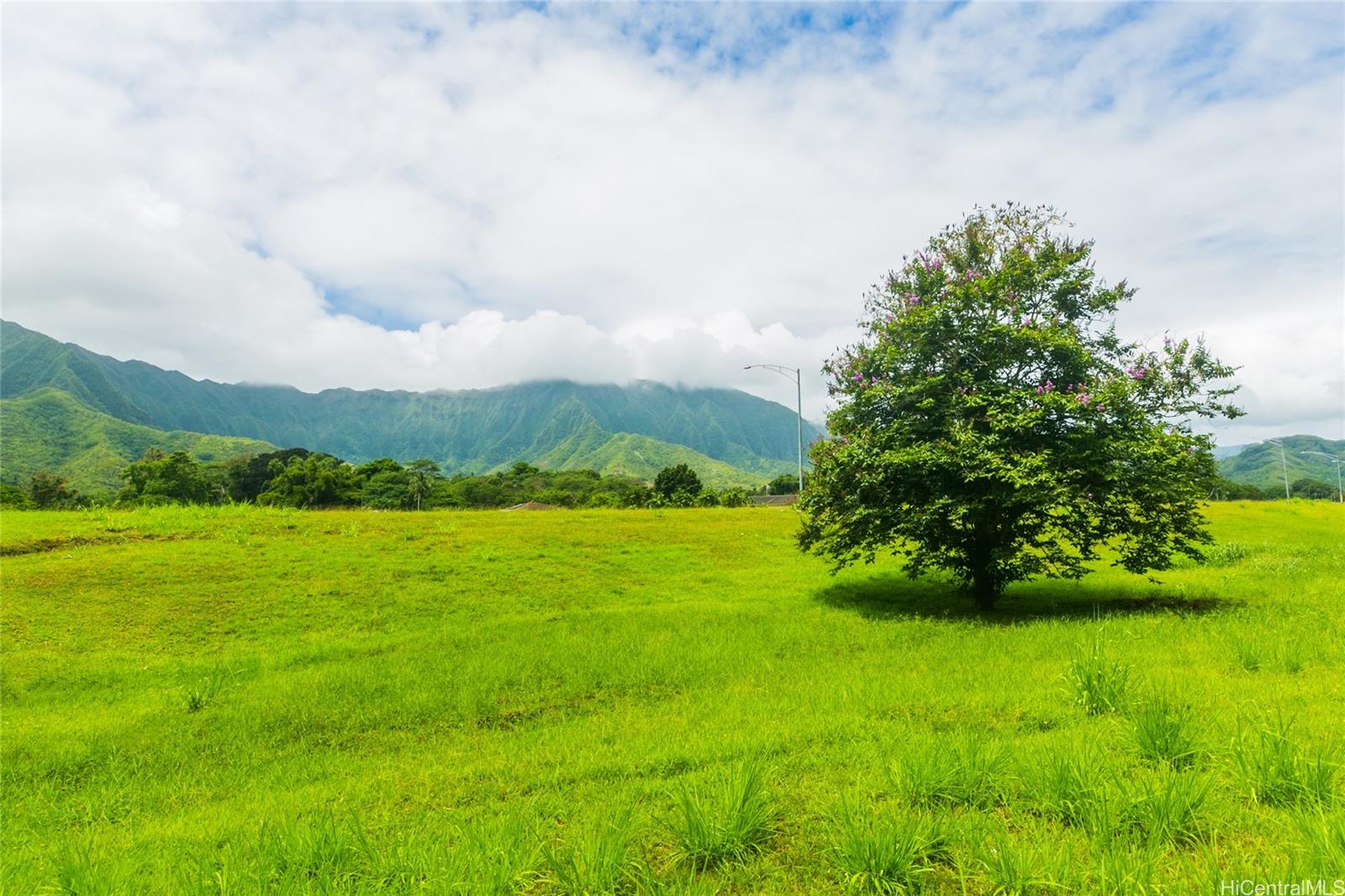 47-260  Ahuimanu Road Ahuimanu Area, Kaneohe home - photo 16 of 16