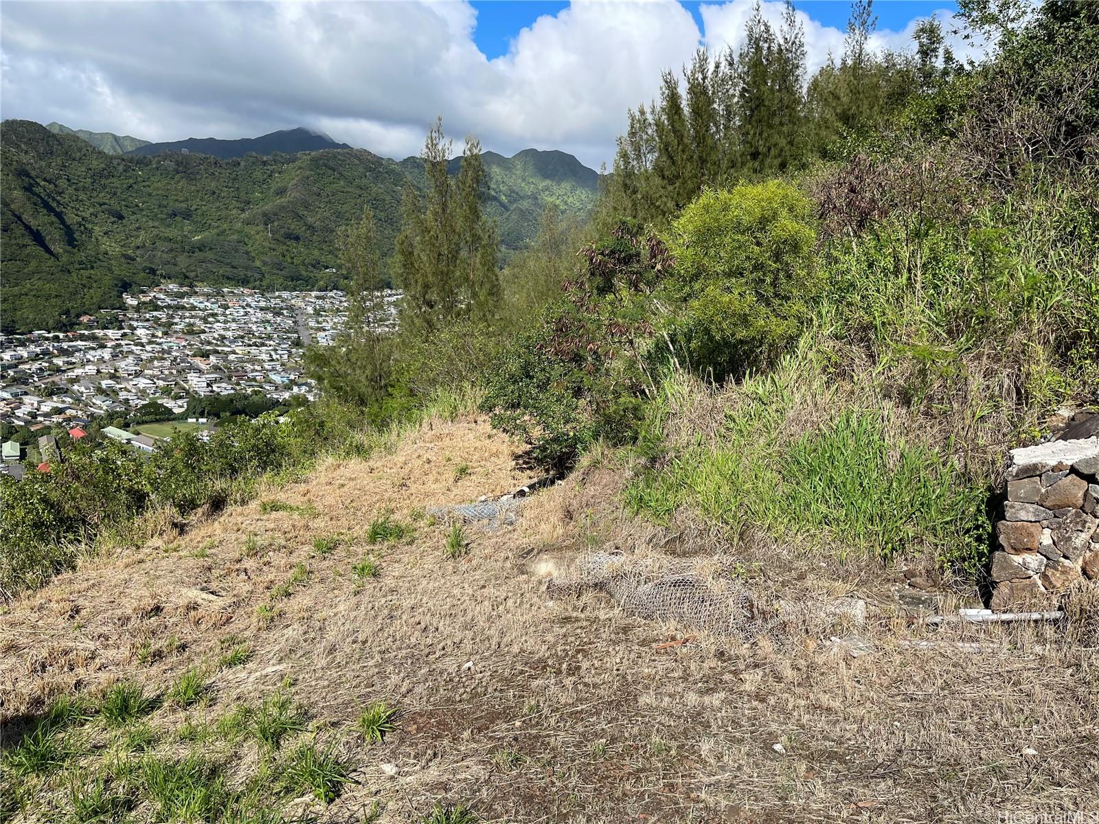4730 Halehoola Pl  Honolulu, Hi vacant land for sale - photo 2 of 9