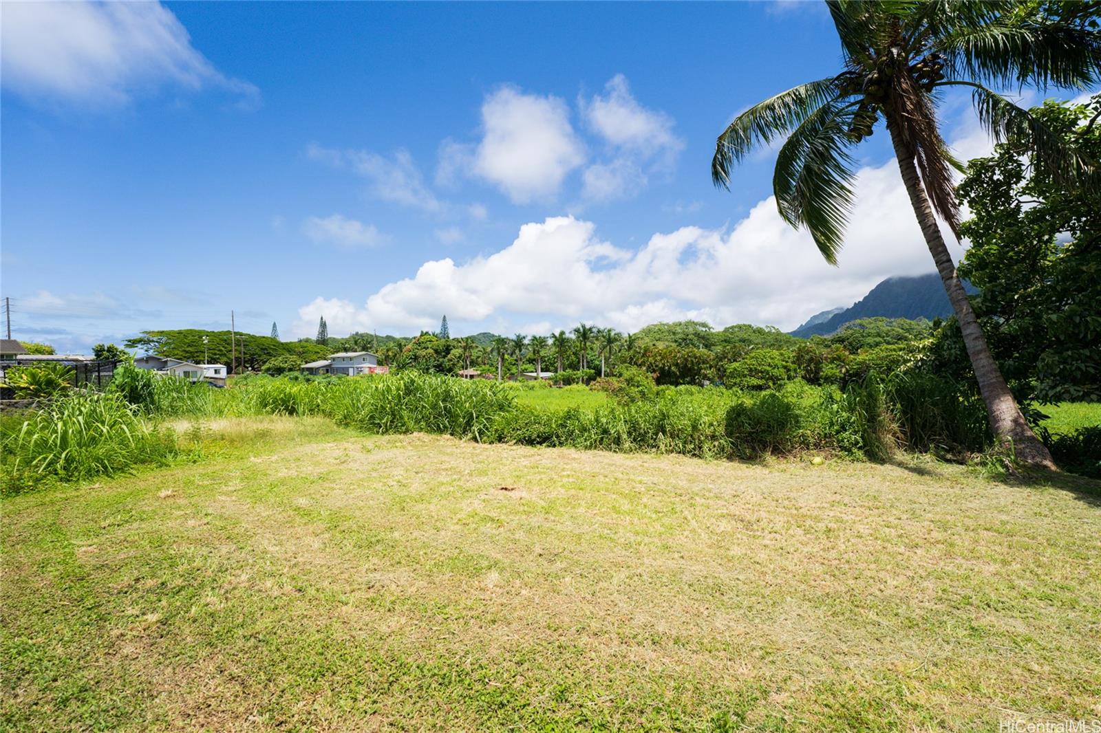 47-318 Waihee Road  Kaneohe, Hi vacant land for sale - photo 12 of 15