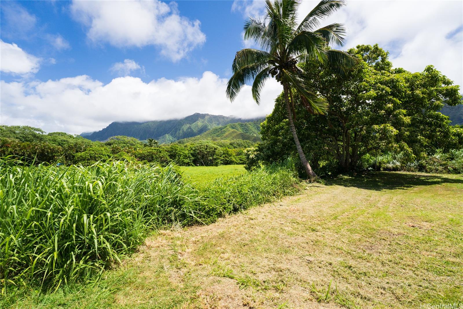 47-318 Waihee Road  Kaneohe, Hi vacant land for sale - photo 15 of 15