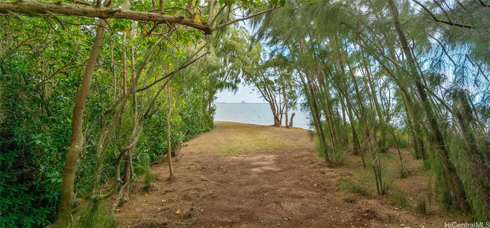 47-375 Kamehameha Hwy Kaneohe - Rental - photo 20 of 25