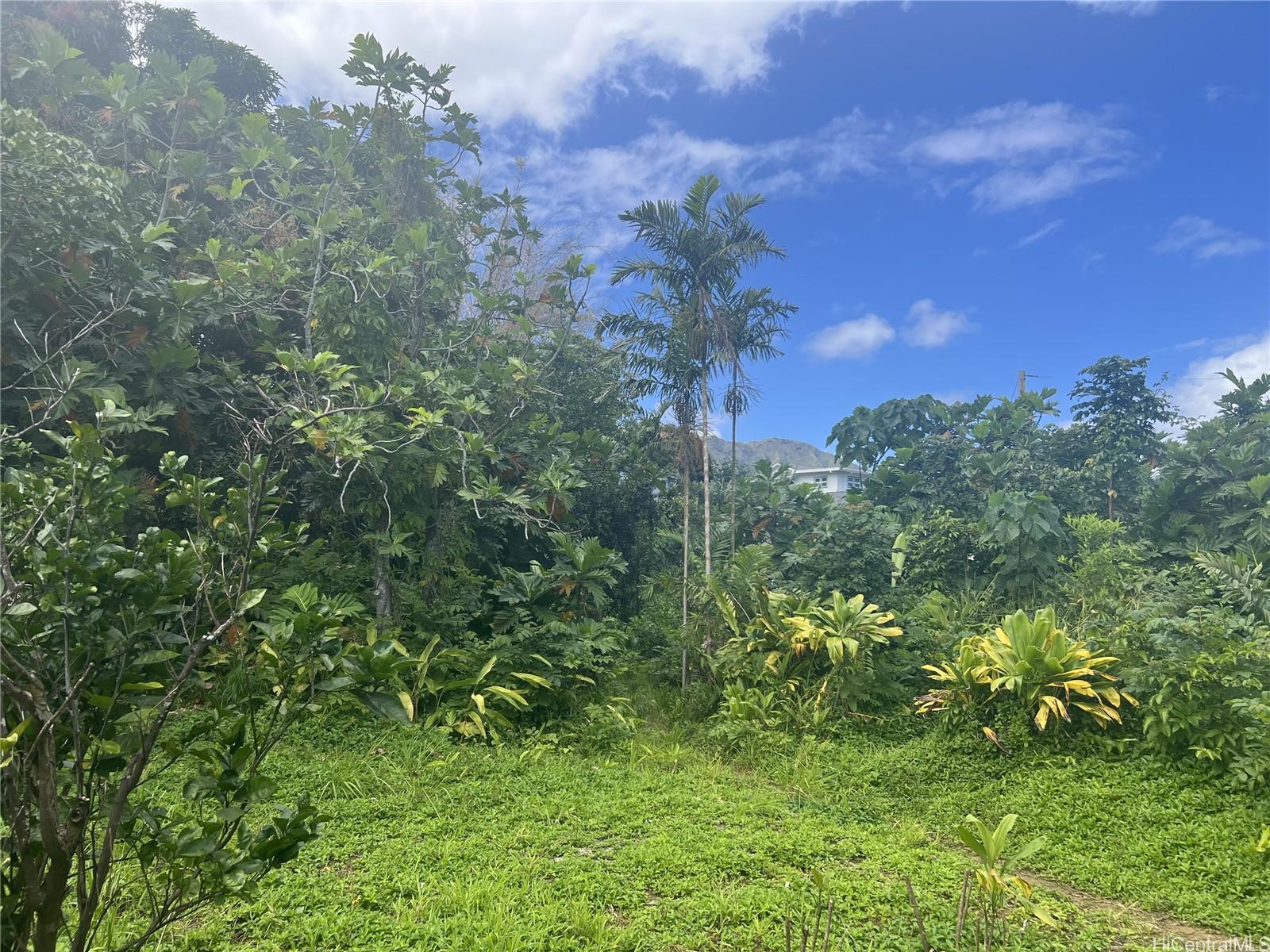 47-427  Ahuimanu Pl Ahuimanu Area, Kaneohe home - photo 4 of 5