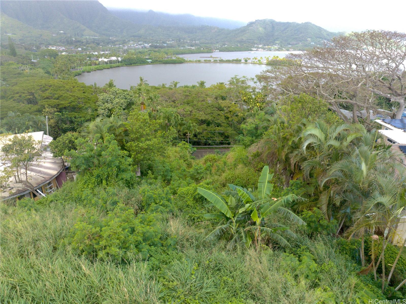 47-440 Kamehameha Hwy  Kaneohe, Hi vacant land for sale - photo 17 of 19